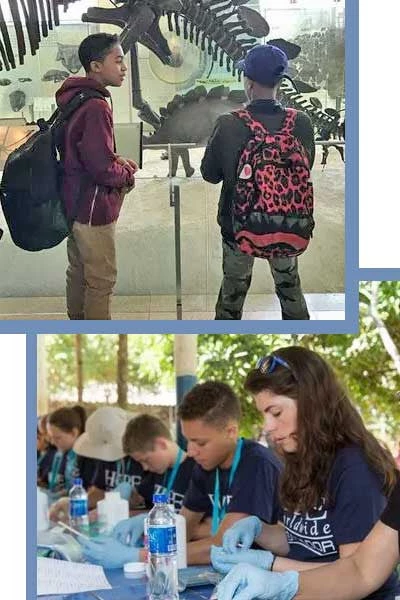 Art & Eden Organic Cotton Dress Annabelle Carousel - 6 Mo. To 24 Mo. Baby - 3 Mo. To 24 Mo. 8 Art & Eden Organic Cotton Dress Annabelle Carousel - 6 Mo. To 24 Mo. Baby - 3 Mo. To 24 Mo.