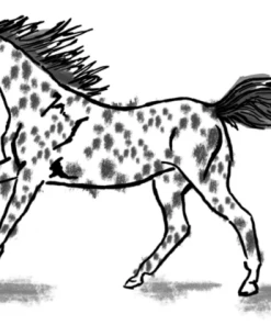 Art & Eden Kids Clothes - 2 To 6 Y. O. Cotton Adele Jumper - 2T To 6T