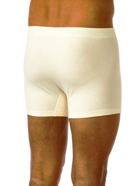 Bgreen Men's Organic Cotton Trunks With Covered Elastic Underwear 4 Bgreen Men's Organic Cotton Trunks With Covered Elastic Underwear