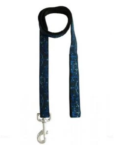 Panabo Dog Leash Frog Box- Bill Helin