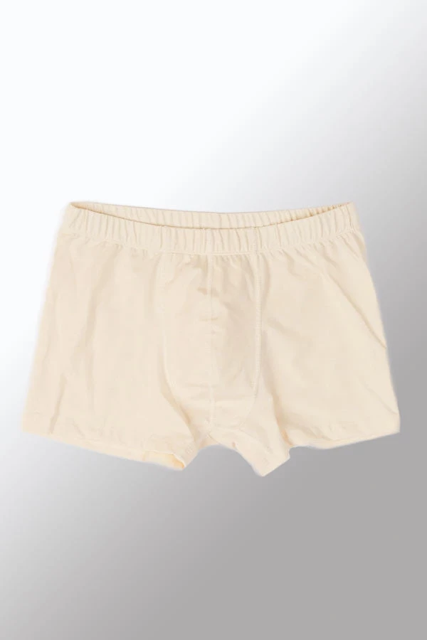 Bgreen Men's Organic Cotton Trunks With Covered Elastic Underwear 6 Bgreen Men's Organic Cotton Trunks With Covered Elastic Underwear